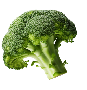 Broccoli