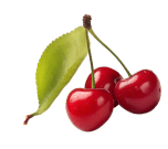 Cherry