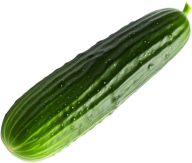 Cucumber
