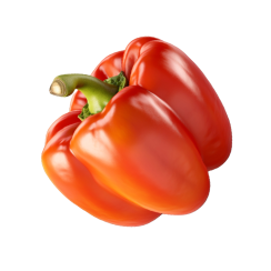 Paprika