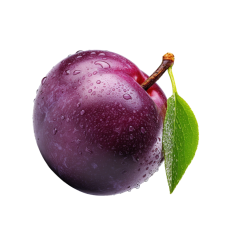 Plum
